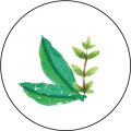 vegetal-naturel Végétal et naturel